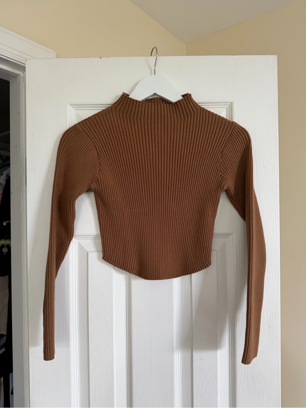 Mable Ribbed Mock Neck Long-Sleeve Crop Top - Brown